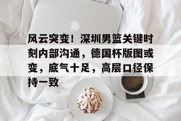 九游体育app-包含风云突变！深圳男篮关键时刻内部沟通，德国杯版图或变，底气十足，高层口径保持一致的词条